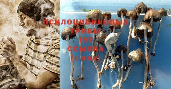кокаин колумбия Аркадак