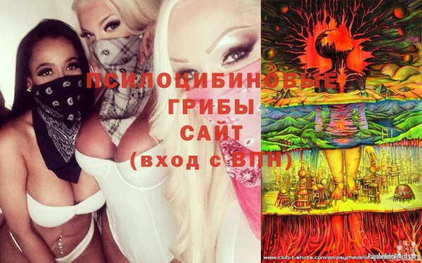 бошки Балахна